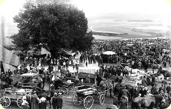 paardenmarkt